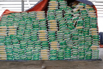 Năm 2020, Công ty CP Supe Phốt phát và Hóa chất Lâm Thao nỗ lực vượt qua khó khăn