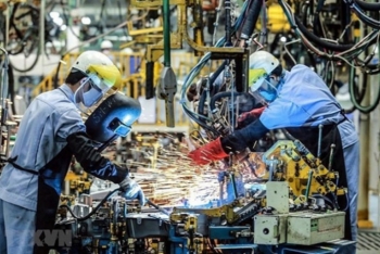 Việt Nam trở thành điểm đến đầu tư FDI hấp dẫn hơn Trung Quốc và Ấn Độ