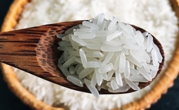 Sửa quy định về chứng nhận chủng loại gạo thơm xuất khẩu sang EU