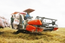 Gạo Việt có cơ hội rất lớn tại EU trong 2022