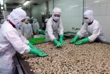 Xuất khẩu tôm sang Mỹ dự báo tiếp tục tăng trưởng 2 con số
