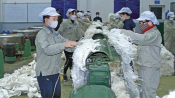 Giấc mơ lớn từ sợi gai nhỏ