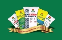 Thương hiệu 'Đạm Cà Mau' được nhiều khách hàng bình chọn