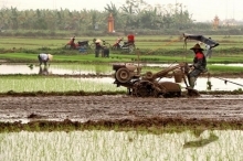 Sau đợt 3, mực nước vẫn đảm bảo để vận hành lấy nước cho gieo cấy