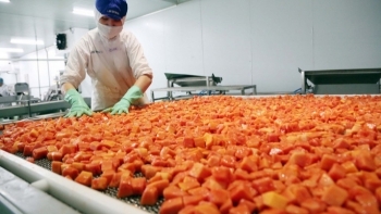 Thương mại Việt Nam - Trung Quốc tăng trưởng mạnh, chạm 166 tỷ USD