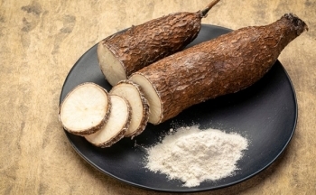 Sắn Việt Nam chiếm thị phần áp đảo ở Hàn Quốc