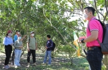 Du lịch dần phục hồi, thích ứng an toàn