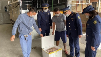 Nguy cơ và nỗi lo thực phẩm bẩn