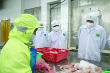 Xuất khẩu cá tra đặt mục tiêu trên 1,6 tỷ USD