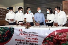 Kỳ vọng FTA thúc đẩy tăng trưởng kinh tế Việt Nam năm 2022