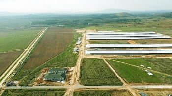 Doanh thu Vinamilk liên tục lập đỉnh mới trong 2021, nhà đầu tư có thể tiếp tục kỳ vọng?