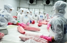 Tăng tốc khai thác Hiệp định EVFTA