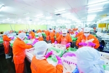 Xuất khẩu thủy sản duy trì đà tăng trưởng cao