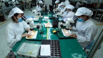 Nghiên cứu khuyến cáo của WB về kinh tế Việt Nam