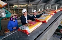 Supe Lâm Thao: Sáu giải pháp ngăn chặn phân bón giả