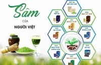 Hành trình khởi nghiệp từ cây Sa Sâm Việt