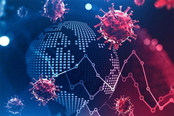 WTO: Thương mại phục hồi nhanh hơn dự kiến nhưng có sự chênh lệch giữa các khu vực