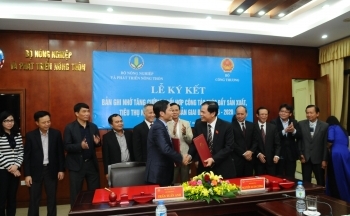 Bài 2: Để có bộ máy tinh gọn, hiệu quả