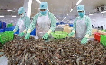 Ai Cập và Việt Nam tích cực duy trì quan hệ hữu nghị và hợp tác