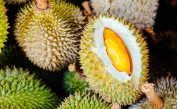 Thái Lan muốn họp với Việt Nam, Trung Quốc, Lào để tăng thương mại trái cây