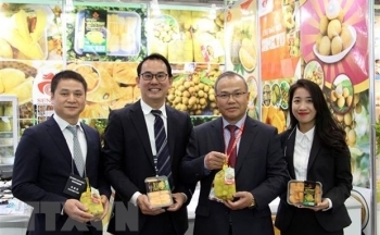 Doanh nghiệp được tư vấn những thông tin cần thiết khi xuất khẩu nông sản, thực phẩm sang Nhật Bản