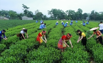 Triển khai Nghị quyết 11 của Bộ Chính trị: Nét mới trong lãnh đạo phát triển kinh tế của Đảng