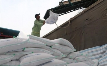 Tận dụng cơ hội để gạo Việt chiếm lĩnh thị trường thế giới tốt hơn