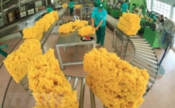 Kim ngạch xuất khẩu hàng hóa từ Việt Nam sang Australia tăng mạnh