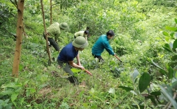 Việt Nam thúc đẩy tiết kiệm năng lượng nhằm mục tiêu kép