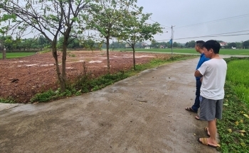 Hộp thư ngày 19/4: 