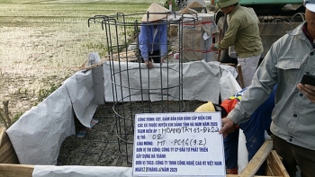 Điện lực Kim Bảng (PC Hà Nam) phấn đấu hoàn thành các công trình điện