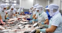 Trung Quốc siết chặt kiểm dịch, thủy sản Việt Nam xuất khẩu vẫn tăng gấp đôi