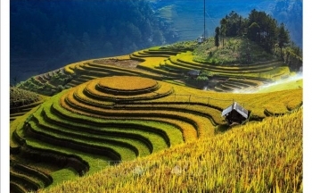 Nhiều hoạt động tham quan, trải nghiệm tại Yên Bái dịp nghỉ lễ 30/4, 1/5