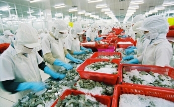 Tăng tốc xuất khẩu: Đừng bỏ lỡ cơ hội từ các FTA
