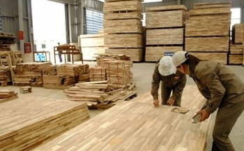 Mỹ gia hạn kết luận cuối cùng về phòng vệ thương mại với gỗ dán cứng