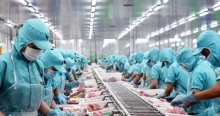 Xuất khẩu thủy sản lập mốc kỷ lục, lần đầu đạt 1 tỷ USD/tháng