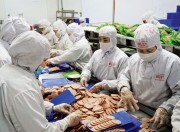 Khi chính sách pháp luật đi vào cuộc sống