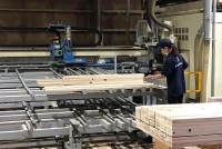 Công nghiệp hỗ trợ ngành chế biến gỗ: Sự quan tâm của Malaysia và Indonesia