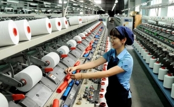 Bài IV: Nhiều thách thức đang chờ doanh nghiệp, nông dân khi hội nhập