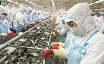 Bài III: Ký EVFTA: Thông về con đường nhưng phải thoáng về thể chế