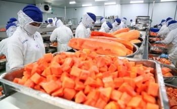 Bài II: Hiệp định EVFTA và IPA: Việt Nam và EU cam kết những gì?