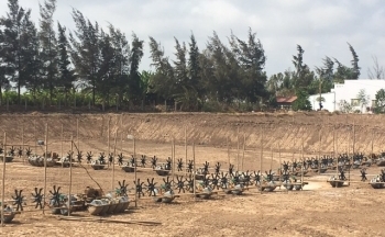 Chuyện bác “Bảy tôm”