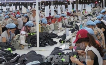 EVFTA - Bài cuối: Cơ hội tăng dòng vốn đầu tư và khẳng định vị thế Việt Nam