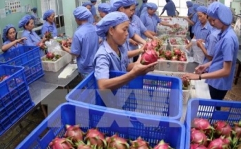 EVFTA - Bài III: Đơn giản hóa thủ tục xuất nhập khẩu