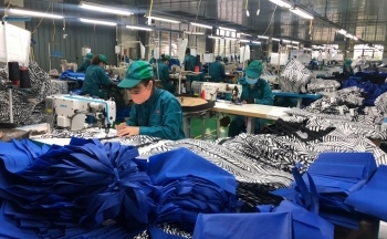 Xuất khẩu vực dậy trong đại dịch nhờ động lực từ các FTA