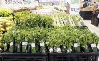 Doanh nghiệp cần chuyển đổi sang kinh tế tuần hoàn, tận dụng cơ hội từ  FTA thế hệ mới