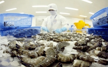 Phòng vệ thương mại: Doanh nghiệp không nên e ngại, né tránh - Bài I