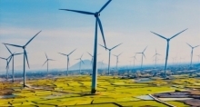 Điện gió có lúc chỉ phát được 15 MW trên tổng công suất đặt 4.000 MW