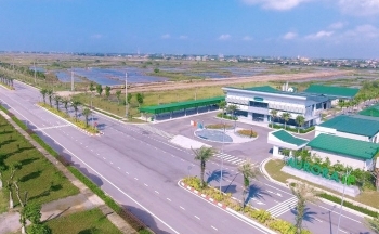 Sức vươn công nghiệp hoá ở nơi “chim Việt đậu cành Nam”