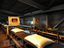 Động lực tăng trưởng ngành phân bón đến từ xuất khẩu